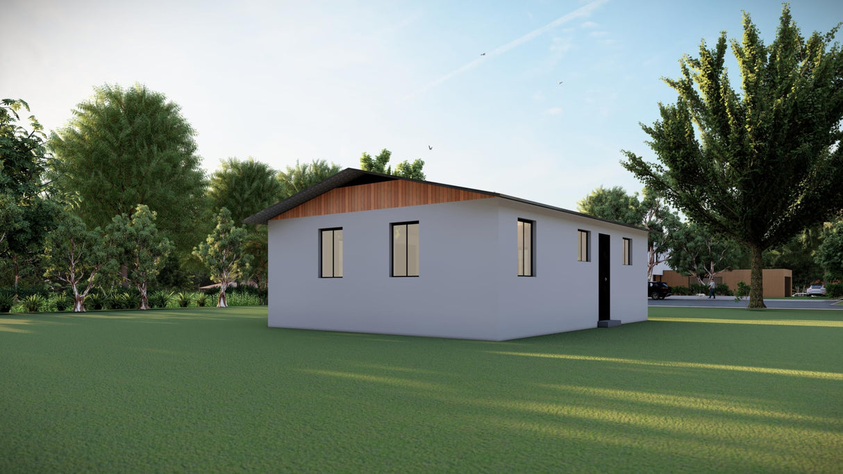 Tiny Home Plans 25’x33’ – 825 sqft Two Bedroom Bungalow Cabin – Building Blueprint with Floor Plan, Elevations, and More Generic