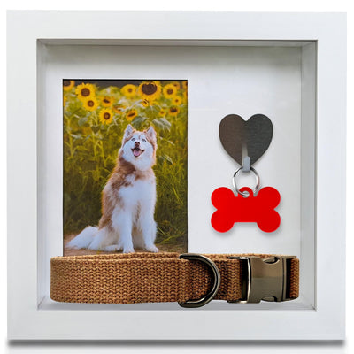 Green Pollywog Pet Memorial Shadowbox with Photo, Tag & Collar Display | White Frame with 4” x 6” Picture Opening | 10” x 10” x 2.5” Keepsake Box