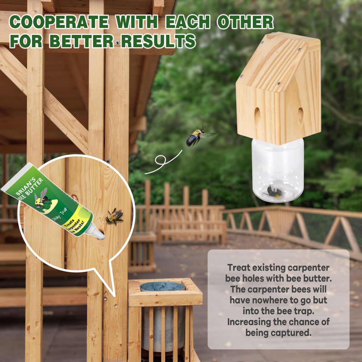 Best Bee Trap - Carpenter Bee Trap for Outside - Shed Style Nature Hanging Wood Trap for Outdoor with Removable Bee Vault Plastic Jar (2 Pack) Best Bee Trap