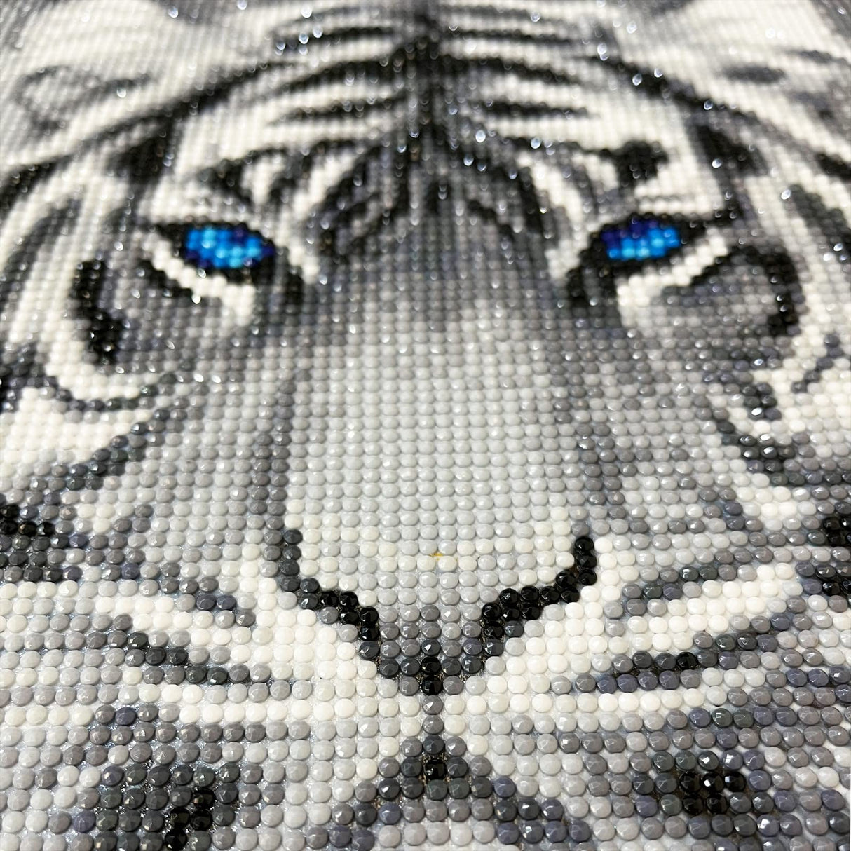 RICUVED Diamond Art Kits for Adults, White Tiger Diamond Art Full 5D Diamond Art Kits Tiger Rhinestone Picture Art Craft for Home Wall Decor 11.8x15.7 Inch RICUVED