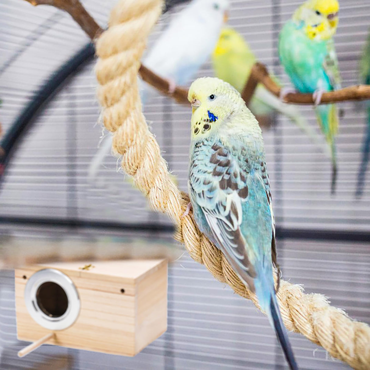 Hiceeden 2 Pack Parakeet Nest Box, Natural Wood Bird Nesting Box, Small Bird House Breeding Box for Budgie Lovebirds, Cockatiel, Parrots Mating, Aviary, 7.7×4.7×4.7 Inches Hiceeden