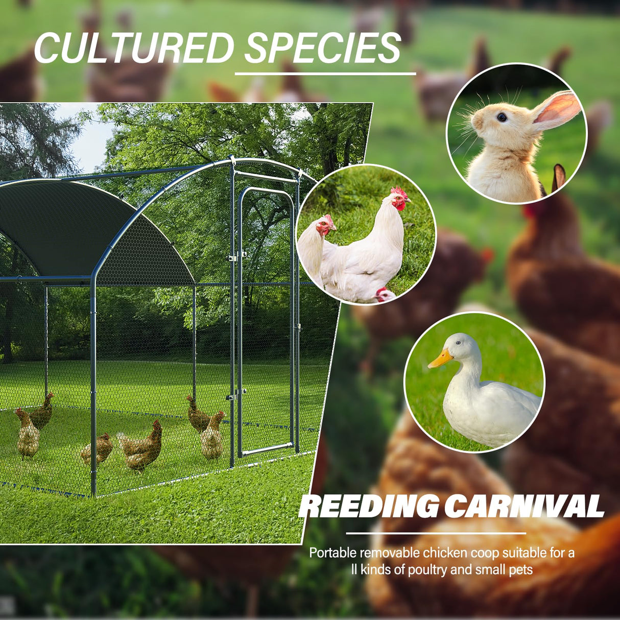 Oranland Chicken Coop Metal Large Chicken Run for Yard Chicken Pen Outdoor Heavy Duty Poultry Cage with Waterproof and Anti-Ultraviolet Cover for Outdoor Farm Use Oranland