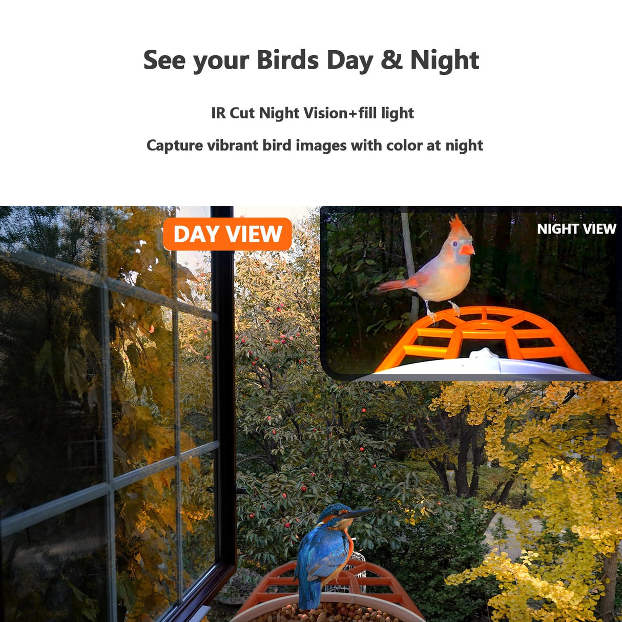 Smart Bird Feeder with Camera Solar Powered, AI Recognition,Auto-Record HD Bird Feeder Camera for Bird Watching TYSTDIRCT