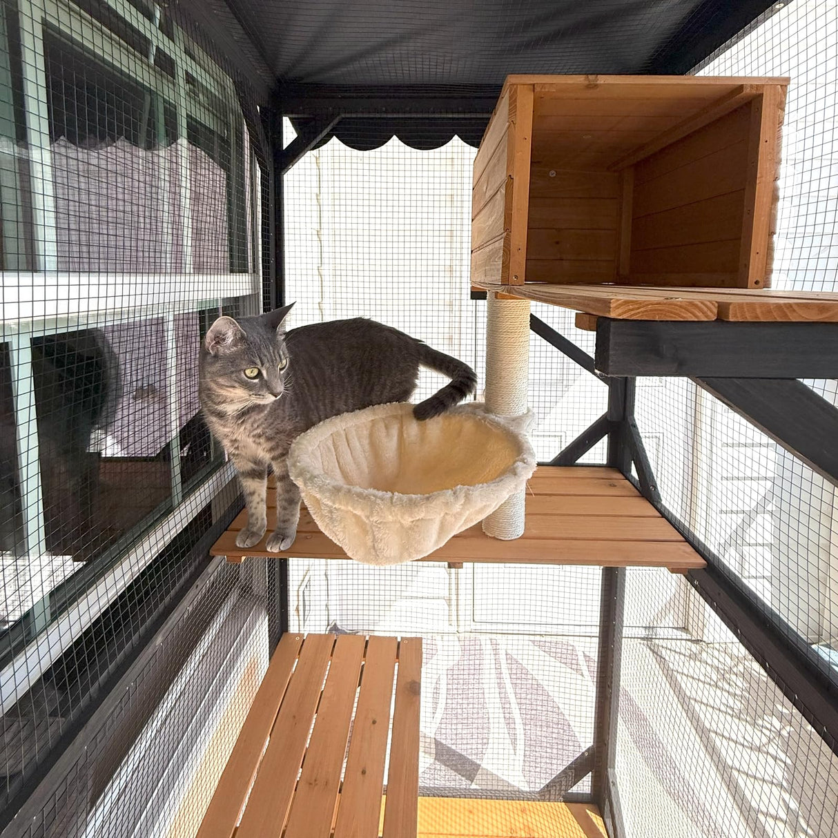 Aivituvin Outdoor Catio Cat Enclosures on Wheels Cat House 70.9" Large Kitty House with Upgraded Resting Box,Waterproof Roof Cover,Brown Aivituvin