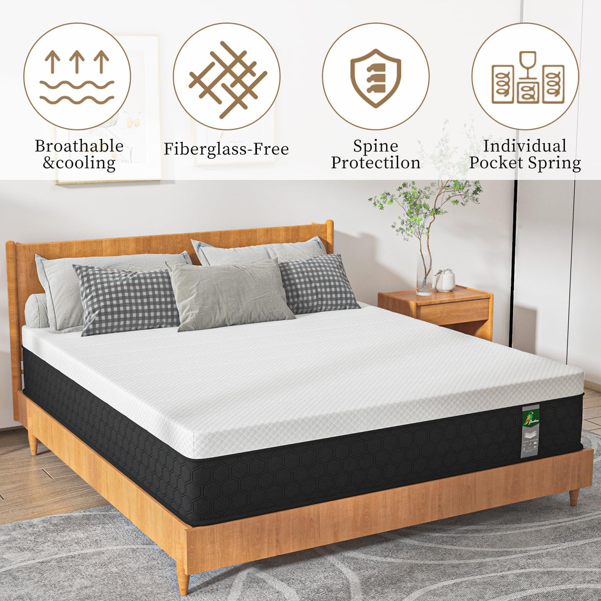 JEEKEA 12 inch Queen Mattress in a Box - 12 Inch Memory Foam Mattress Queen Size - Hybrid Matress for Back Pain Relief - Medium Firm with Motion Isolation & Strong Edge Support JEEKEA