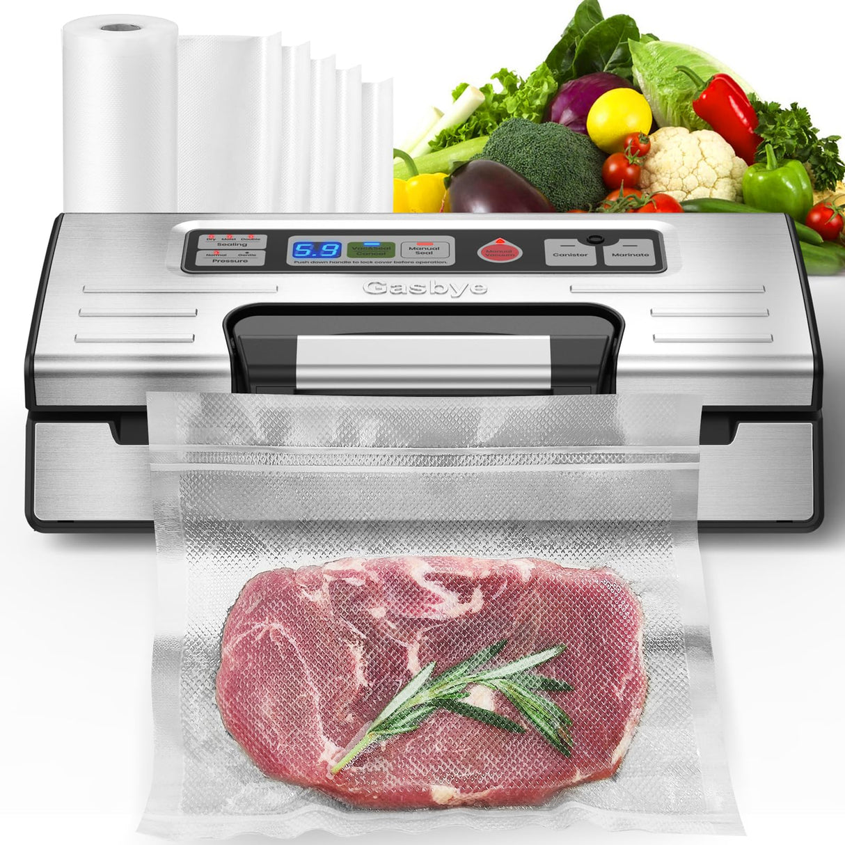 Gasbye Vacuum Sealer Machine, 95kPa Food Sealer with Double Heat Seal for Dry/Moist Food, Easy-lock Handle, Built-in Bag Storage & Cutter, Progress Display, Removable Drip Tray, Silver Gasbye