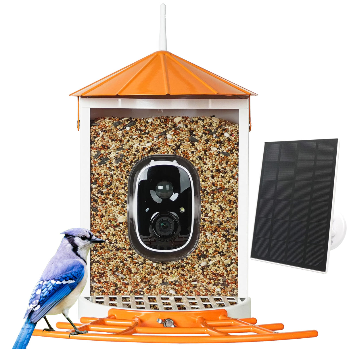 Birdkiss Smart Bird Feeder with Camera Solar Powered, 1080P HD Wild Bird Watching Cam Auto Capture Videos and AI Identify, Squirrel Proof Metal Bird Feeders, Ideal Gift for Bird Lovers (Orange) Birdkiss