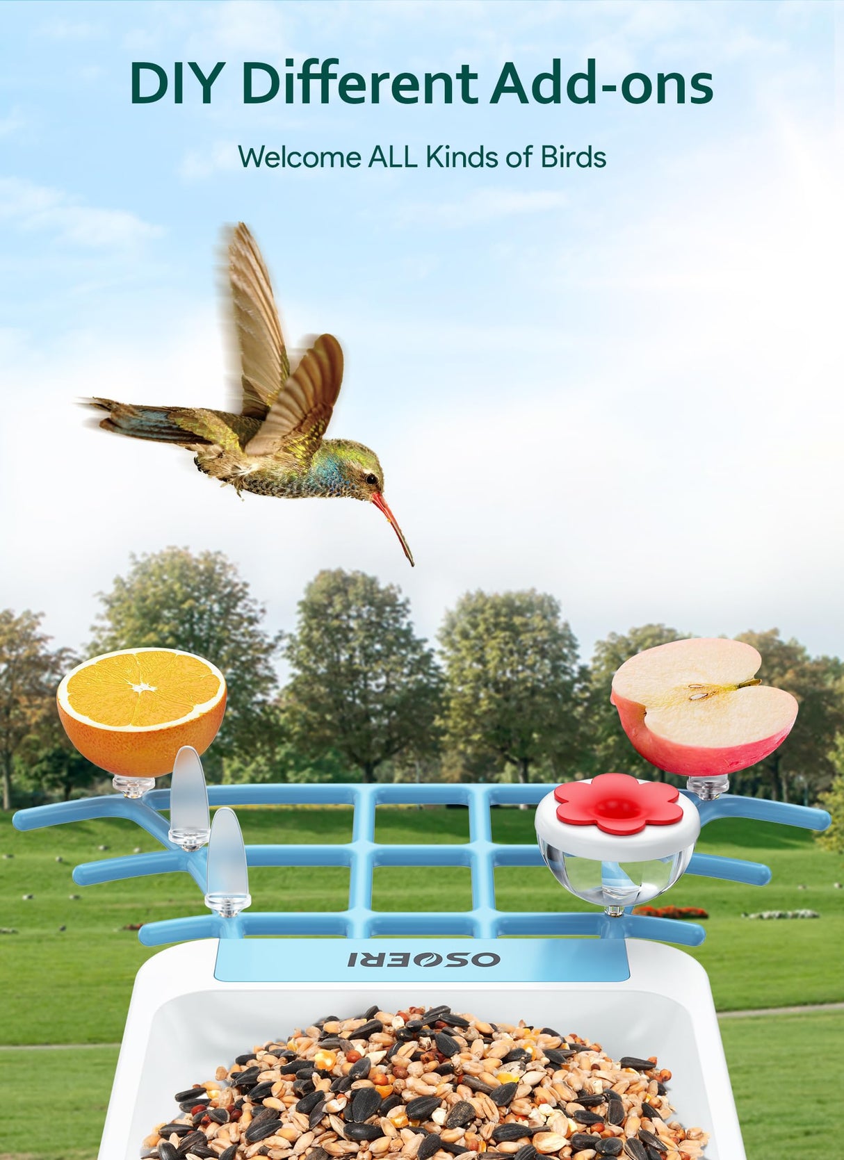 Osoeri Smart Bird Feeder with Camera, 1080P HD AI Identify Wild Bird Watching Camera, Auto Capture Bird Videos & Motion Detection, DIY Add-ons & Osoeri