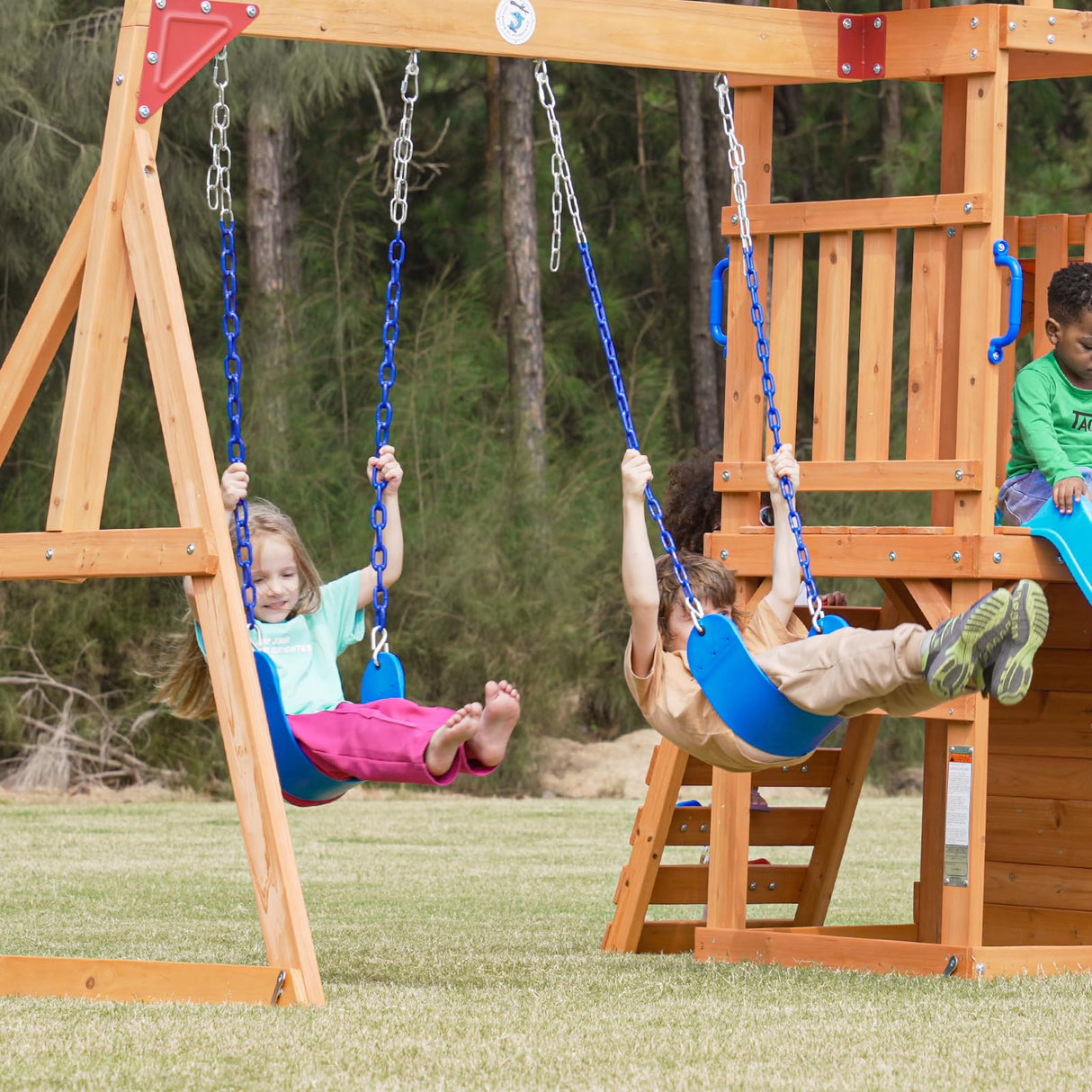 Dolphin Playground Outdoor Wooden Swing Sets for Backyard with Slide, Playground Sets for Backyards with Sandbox, Rock Climbing Wall, and 2 Belt Swings, Outdoor Playset for Kids Ages 3-6 DOLPHIN PLAYGROUND T