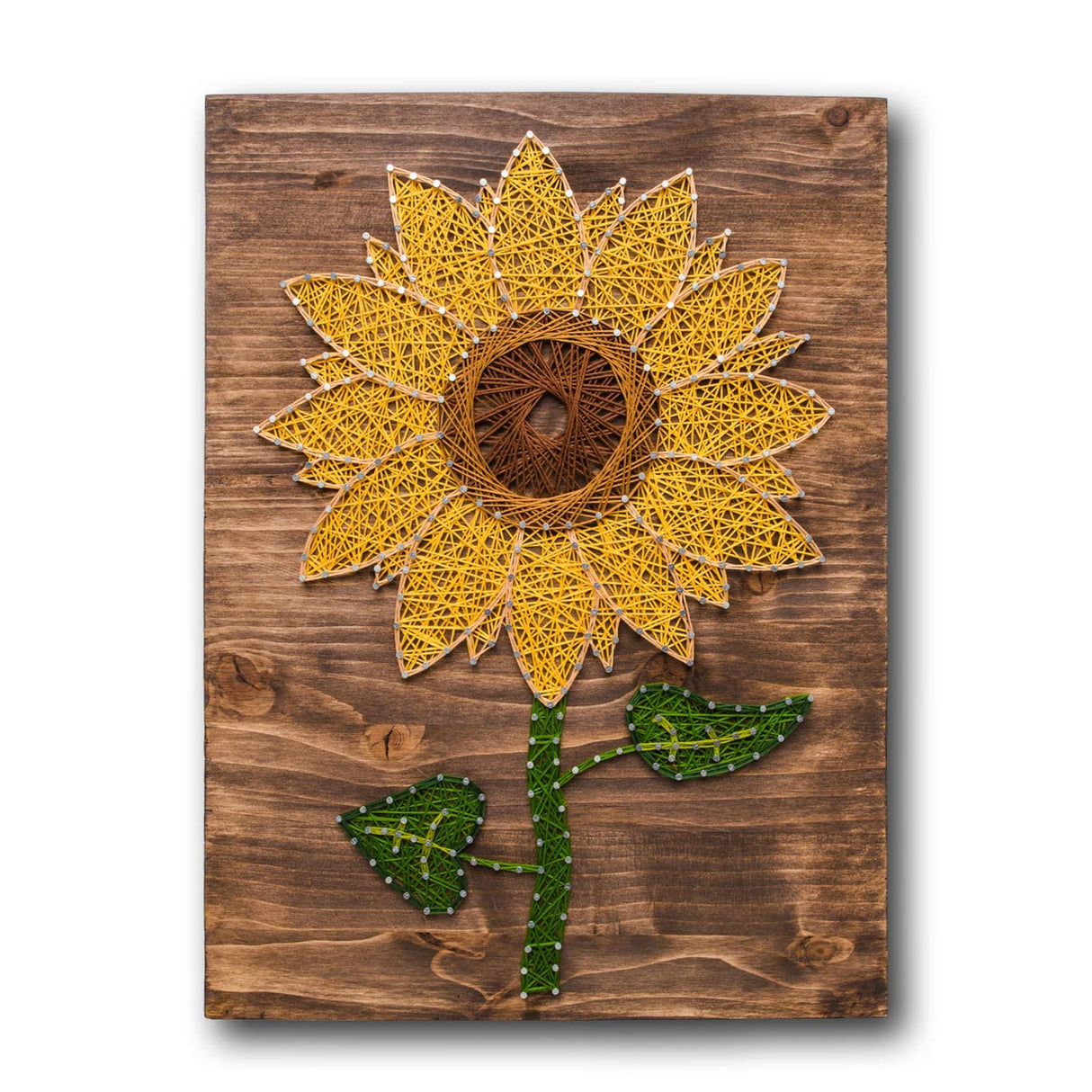 String of the Art Sunflower String Art Kit, American Made DIY Craft Kit for Adults, Stained Pine Wood (16" x 12"), Embroidery Floss, for Beginner to Advanced Crafters, Craft a Handmade Gift String of the Art