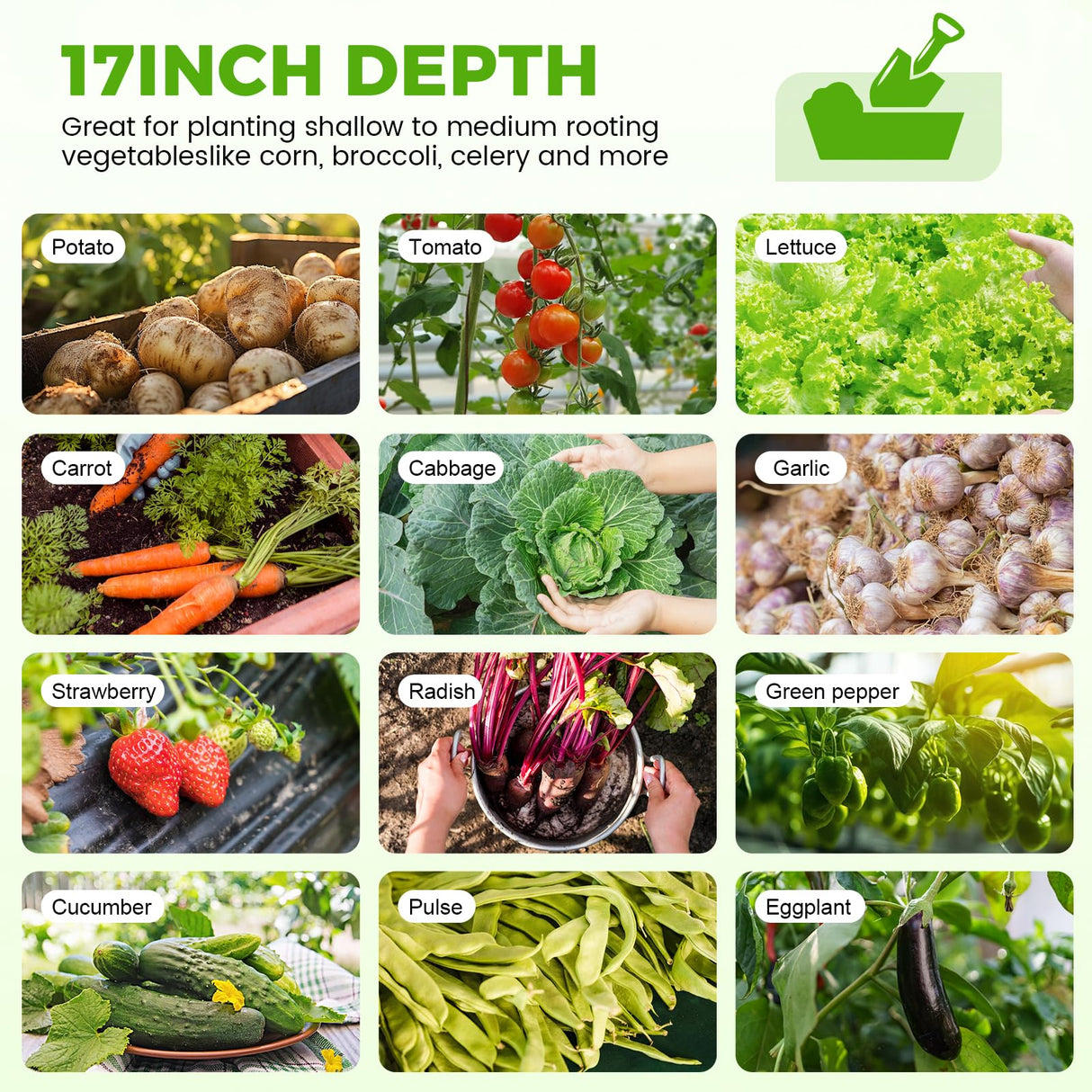 Land Guard 4×2×1.5ft Galvanized Raised Garden Bed Kit, Galvanized Planter Garden Boxes Outdoor, Oval Large Metal Raised Garden Bed for Vegetables……… (Classic Silver Land Guard