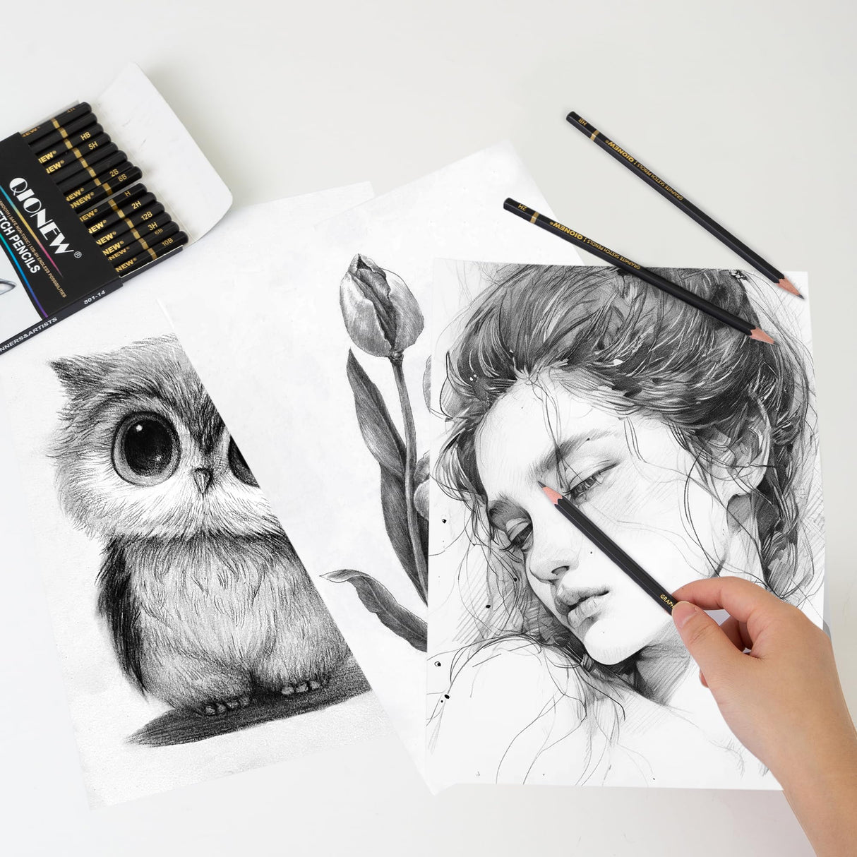 Qionew Professional Sketching Pencil for Drawing,14 Pack, Graphite Pencils, (12B-5H), Art Pencils for Drawing and Shading, Sketching, Ideal for Beginners & Pro Artists Qionew