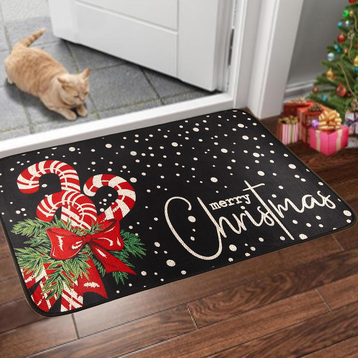 PodaFu Christmas Rug, Front Door Mat - 17x29 Inch (Black) Exquisite Rugs for Indoor/Outdoor Use podafu