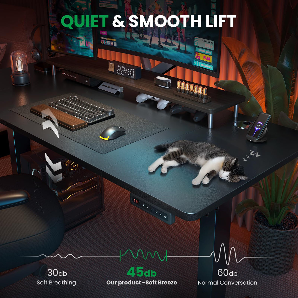 SIAGO Electric Standing Desk Adjustable - 55 x 24 Inch Sit Stand up Desk with Cable Management - 3 Memory Preset Adjustable Height Table SIAGO