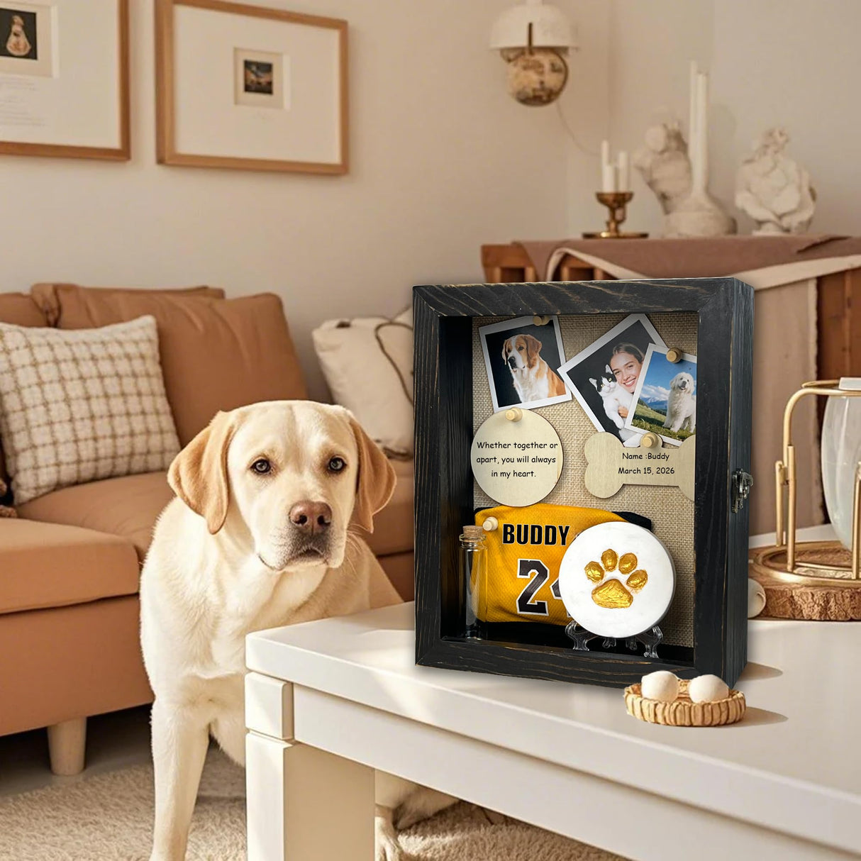 8x10 Pet Memorial Shadow Box Frame Paw Print Kit Solid Wood Pet Frame Black Dog Memorial Gifts for Loss of Dog Houstimi