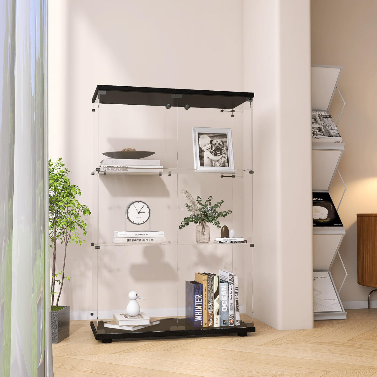 Zacis Modern 3 Shelf Glass Display Cabinet with 2 Doors, Clear Curio Cabinet Collection Display Case, Floor Standing Glass Bookshelf for Living Room Bedroom Home Office 32" W x 14.5" D x 50" H Zacis