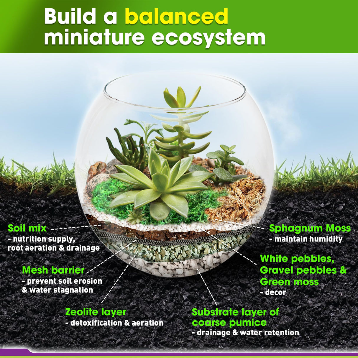 DUSPRO Recycle Terrarium Kit, Include Terrarium Potting Soil, Pumice, Zeolite, Green Moss, Sphagnum Moss, Decorative Stone, Mesh, Tools, DIY Terrarium Starter Kit for Kids, Air Plant, Succulent Duspro