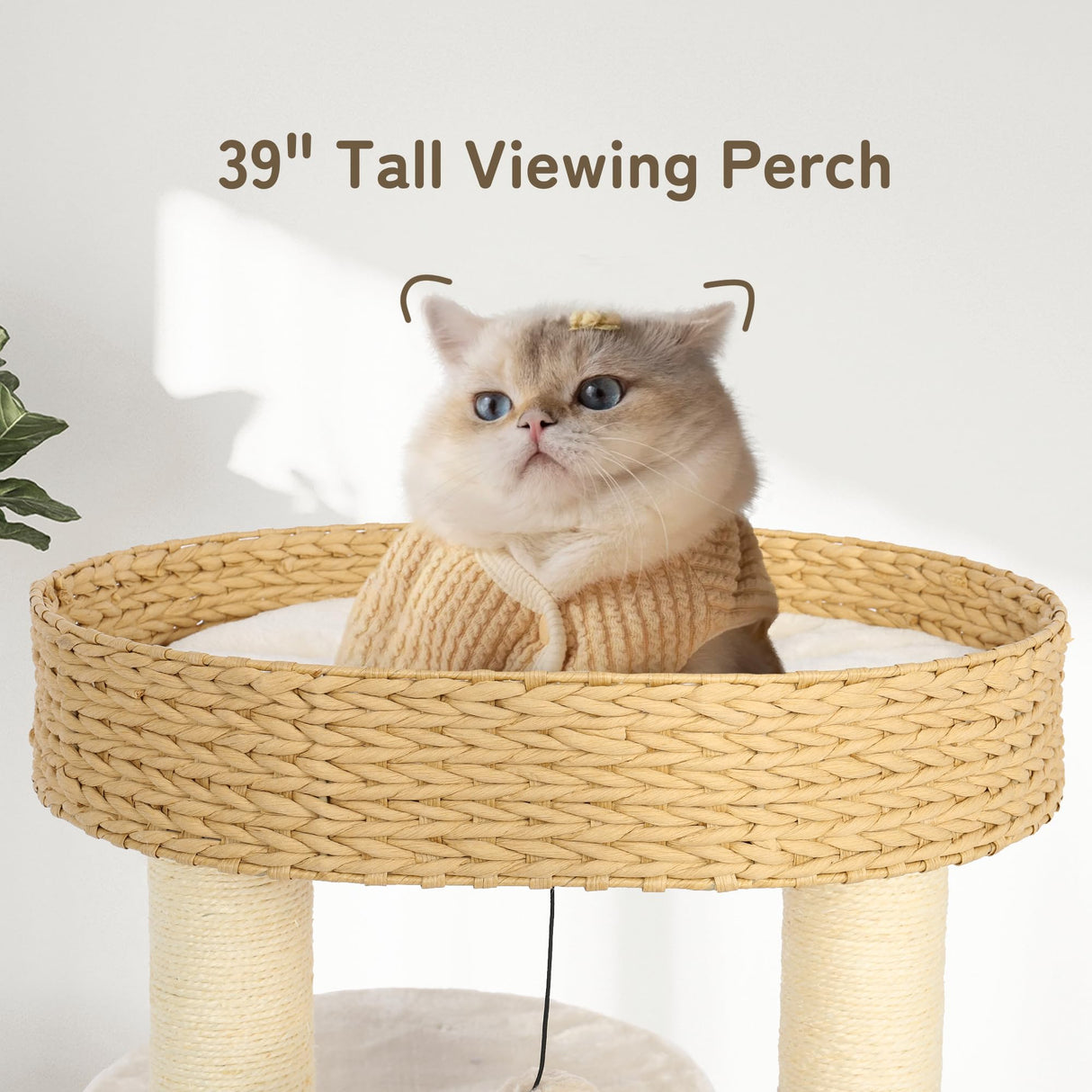 KAMABOKO Modern Cat Tree, Cat Tree for Indoor Cats w/Natural Sisal Scratching Posts, Hand-Woven Condo & Top Perch, 39" Tall Cat Tree for Kittens Climb Play & Rest KAMABOKO
