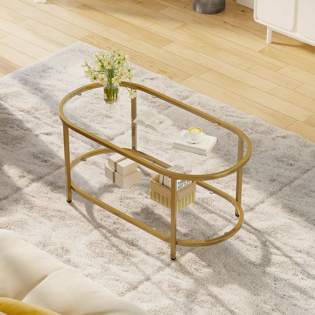 Wolawu Coffee Table Gold Oval Glass Table for Living Room,2 Tiers Oval Center Table with Sturdy Metal Frame, Modern Tempered Glass Tables for Bedroom Living Room Home Office Wolawu
