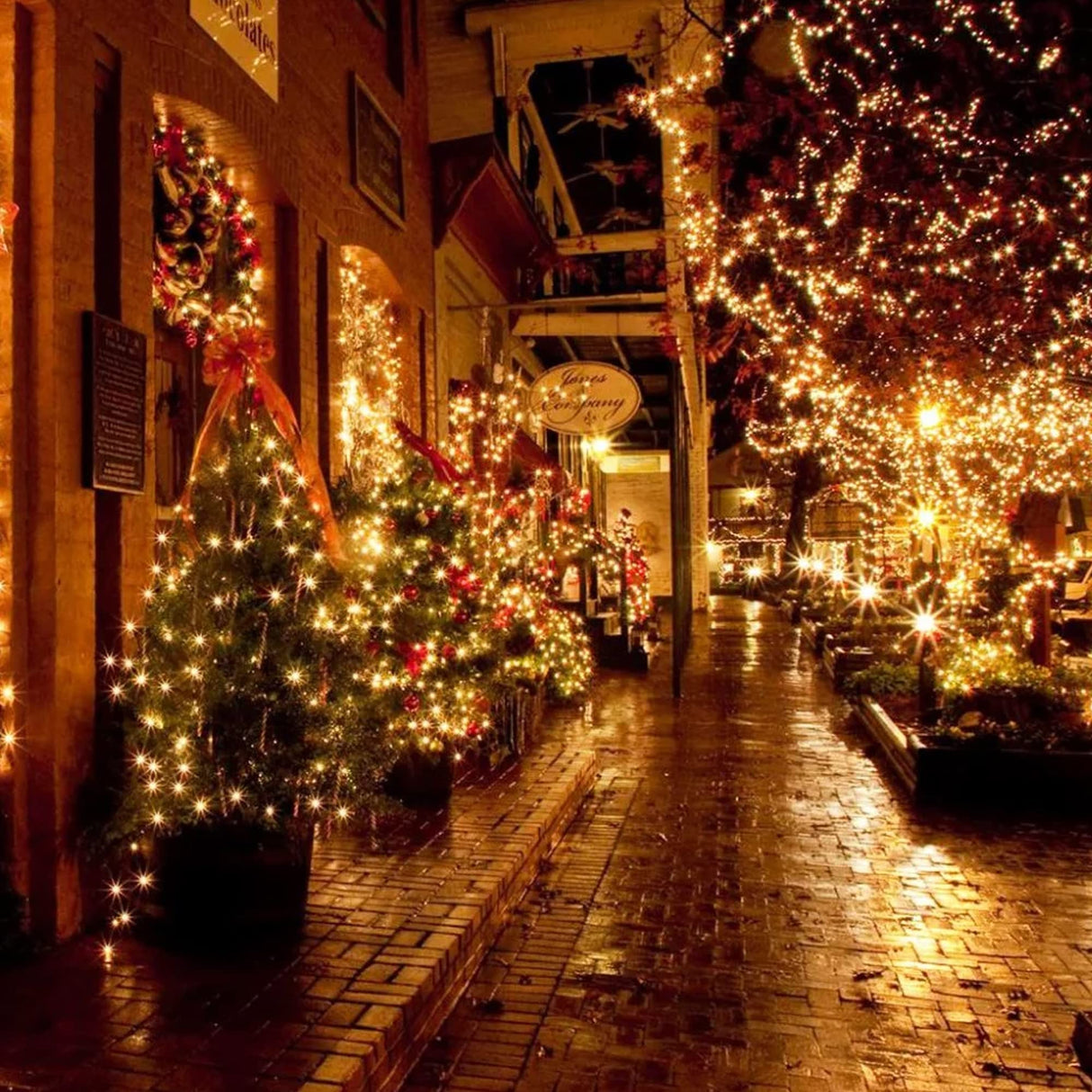 FUNPENY 164FT 500 LED Christmas Indoor Outdoor Decorative String Lights, 8 Modes Waterproof Green Wire LED Fairy Light for Christmas Party Wedding Garden Home Decoration (Warm White) FUNPENY