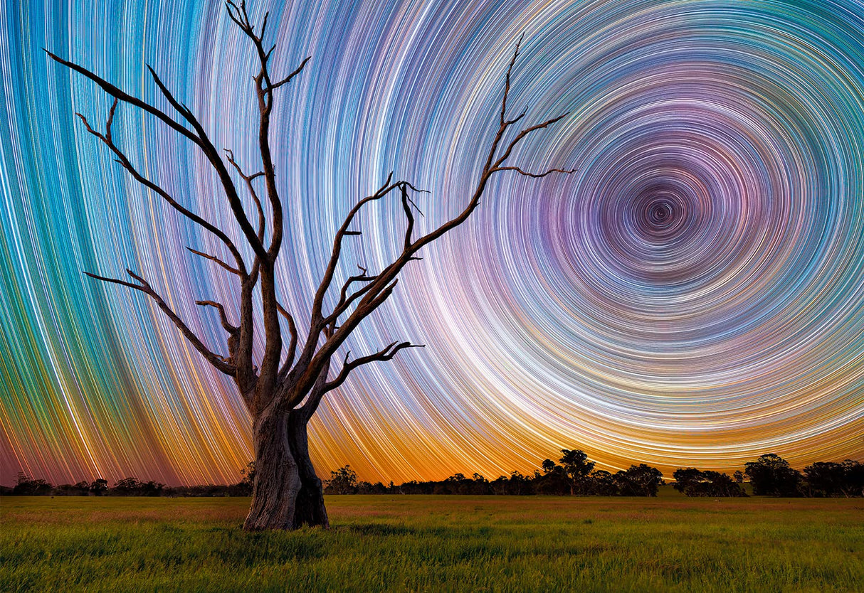 Buffalo Games - Lincoln Harrison - Centrifuge - 1500 Piece Jigsaw Puzzle for Adults -Challenging Puzzle Perfect for Game Nights - Finished Size is 38.50 x 26.50 Buffalo Games