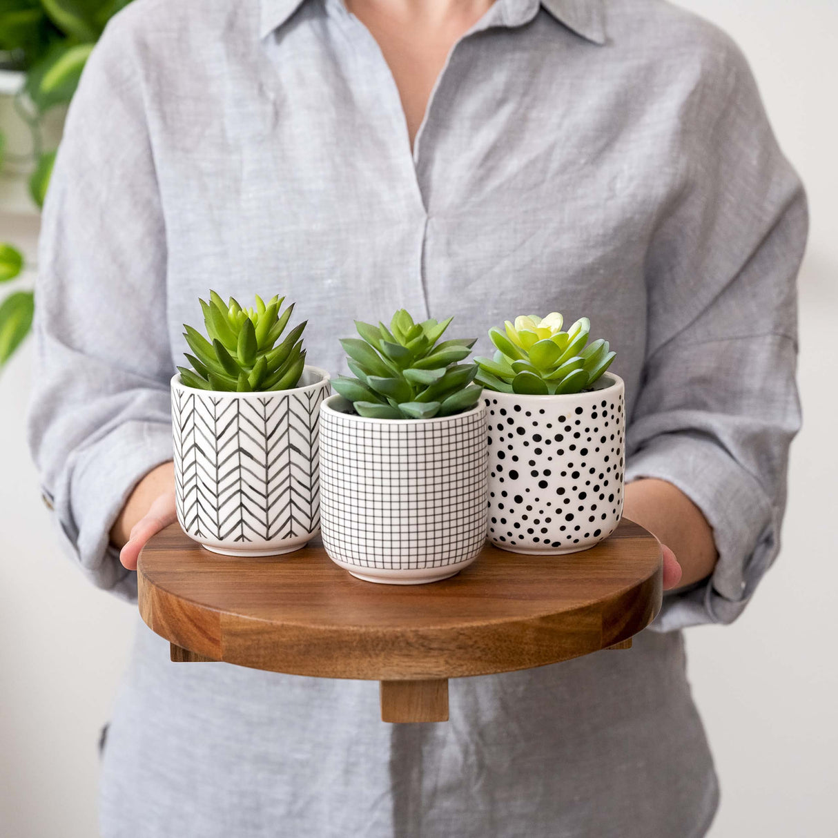 Kurrajong Farmhouse 9" wood pedestal stand | round pedestal riser board | acacia wood riser | acacia pedestal board | round pedestal riser | kitchen display stand | plant holder Kurrajong Farmhouse