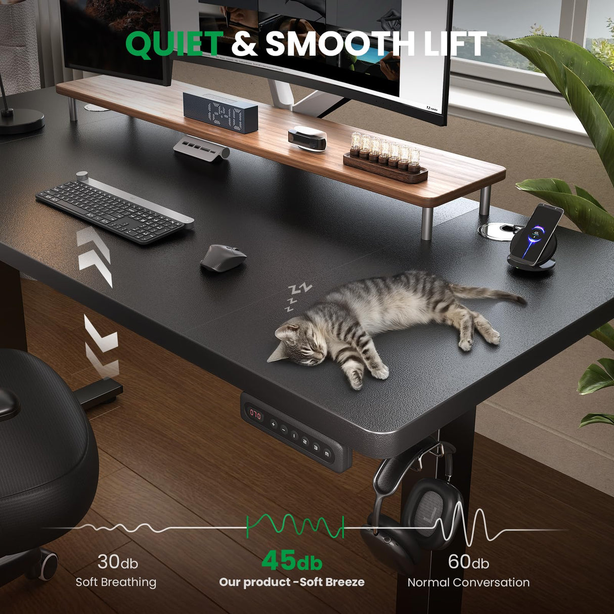 SIAGO Electric Standing Desk Adjustable - 48 x 24 Inch Sit Stand up Desk with Cable Management - 3 Memory Preset Adjustable Height Table SIAGO