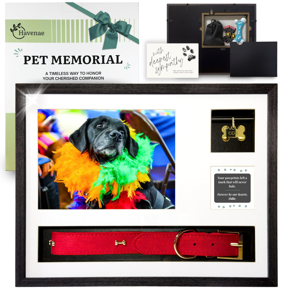 Havenae Pet Memorial Gifts for Dogs - Pet Memorial Shadow Box, Dog Loss Sympathy Gift, Pet Memorial Picture Frame, Pet Loss Gifts, Dog Bereavement Gifts Havenae