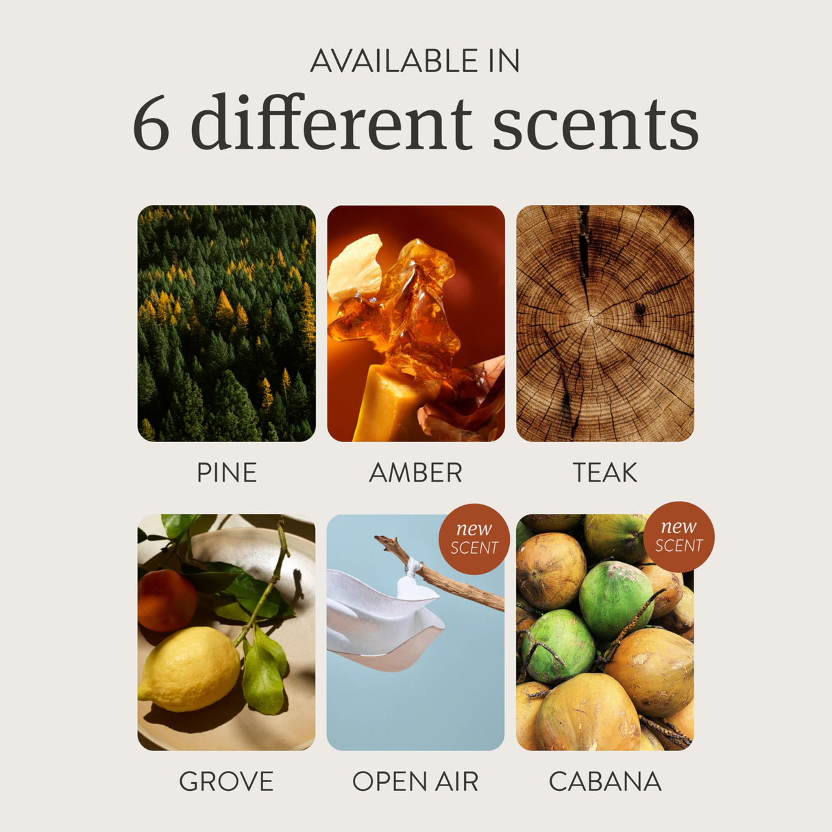 Drift on Amazon Wood Air Freshener Starter Kit- Variety 3 Pack drift