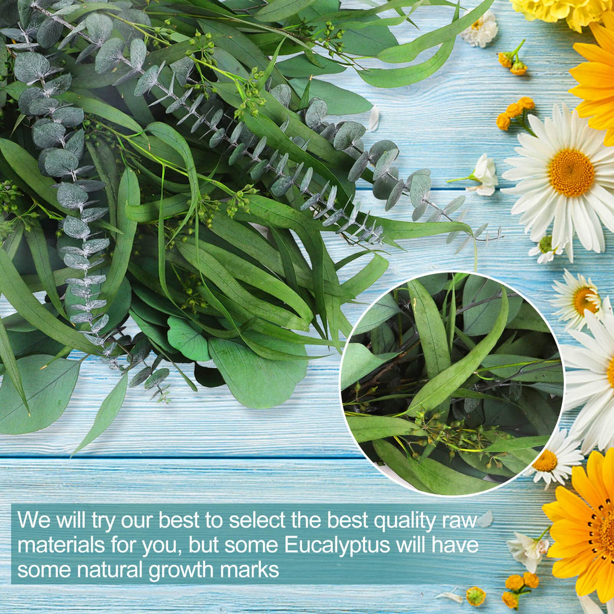 12 Pcs Mixed Real Dried Eucalyptus Leaves Stems - Preserved Eucalyptus Branches, Silver Dollar Eucalyptus, Seeded Eucalyptus Bouquets for Vase Floral Arrangements Wedding Greenery Decor Glicrili