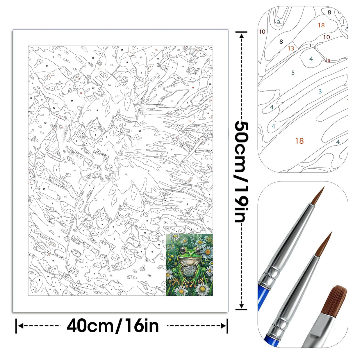 Bimkole Fish Paint by Number for Adults, DIY Oil Painting Kit on Canvas with Paintbrushes and Acrylic Pigment, for Paint by Numbers for Beginner, for Home Wall Decor (16x20Inch) Qm2833 Bimkole