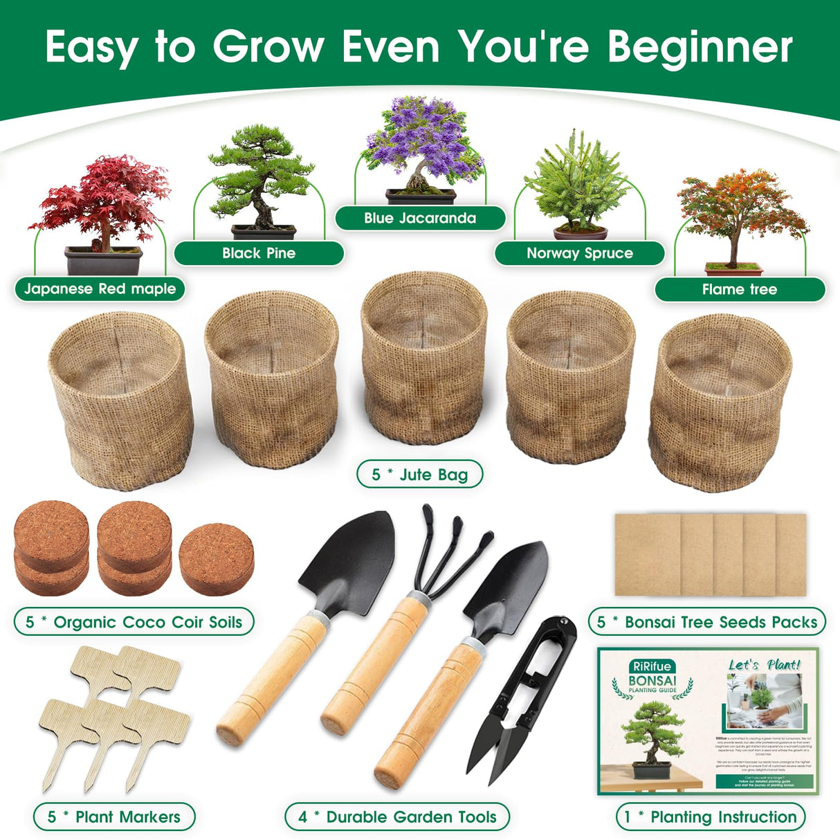 RiRifue Bonsai Tree Seed Starter Kit, with 4 Pcs Mini Garden Bonsai Tool Kit, 5 Tree Seeds Variety Pack for Planting, Creative Gardening Gifts for Plant Lovers Women Men Kid RiRifue