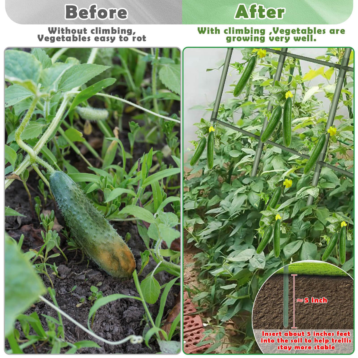 Cucumber Trellis for Raised Bed 65"×48", Garden Arch Trellis for Climbing Plants Outdoor, Metal Garden Trellis for Vegetables, Cucumber Trellis for Tomato, Bean, Pea, Grape, Plant, Squash Tetutor