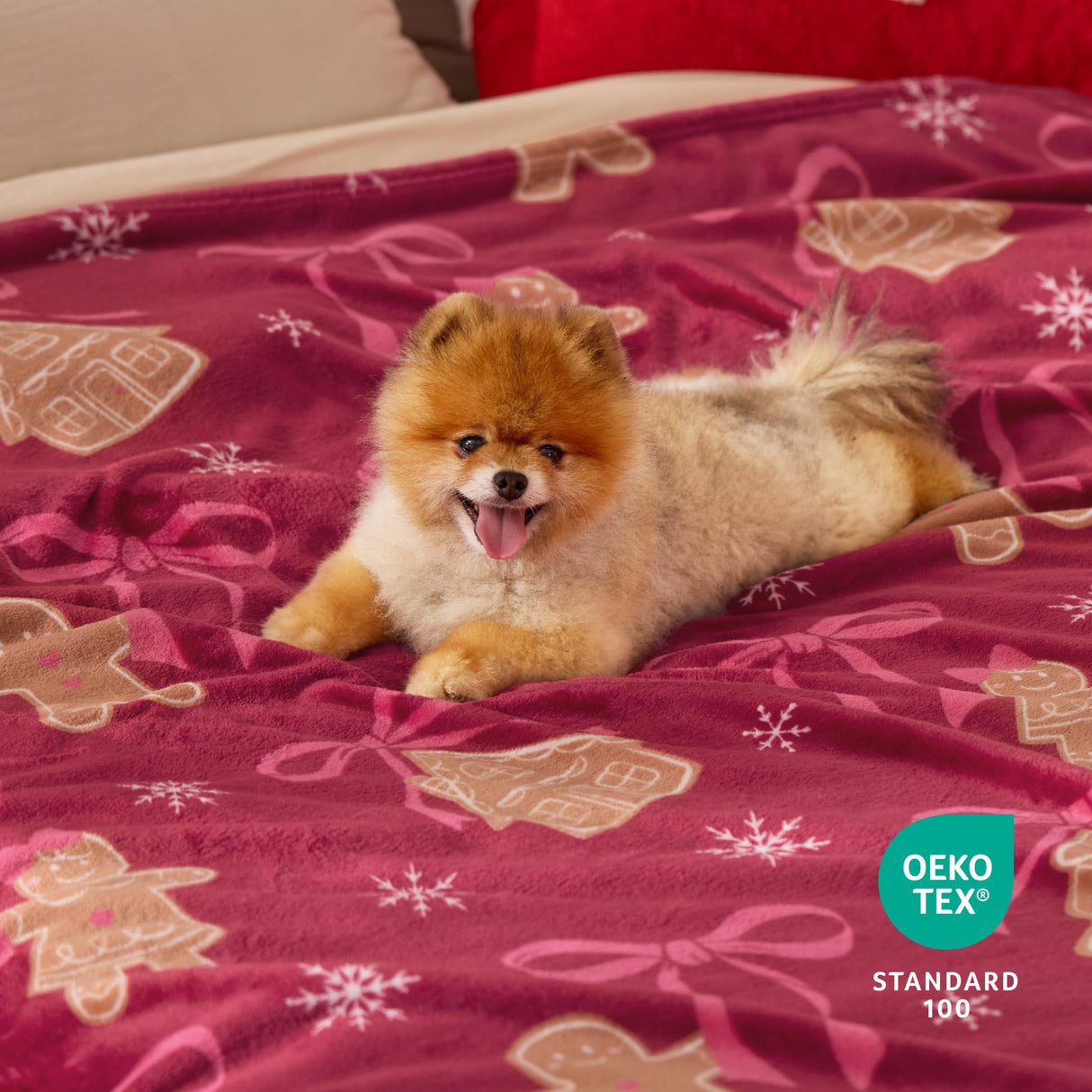 Bedsure Christmas Throw Blanket for Couch - Soft and Warm Gingerbread Throw Blanket Christmas Decoration Gifts for Women, Red 50"x60" Bedsure