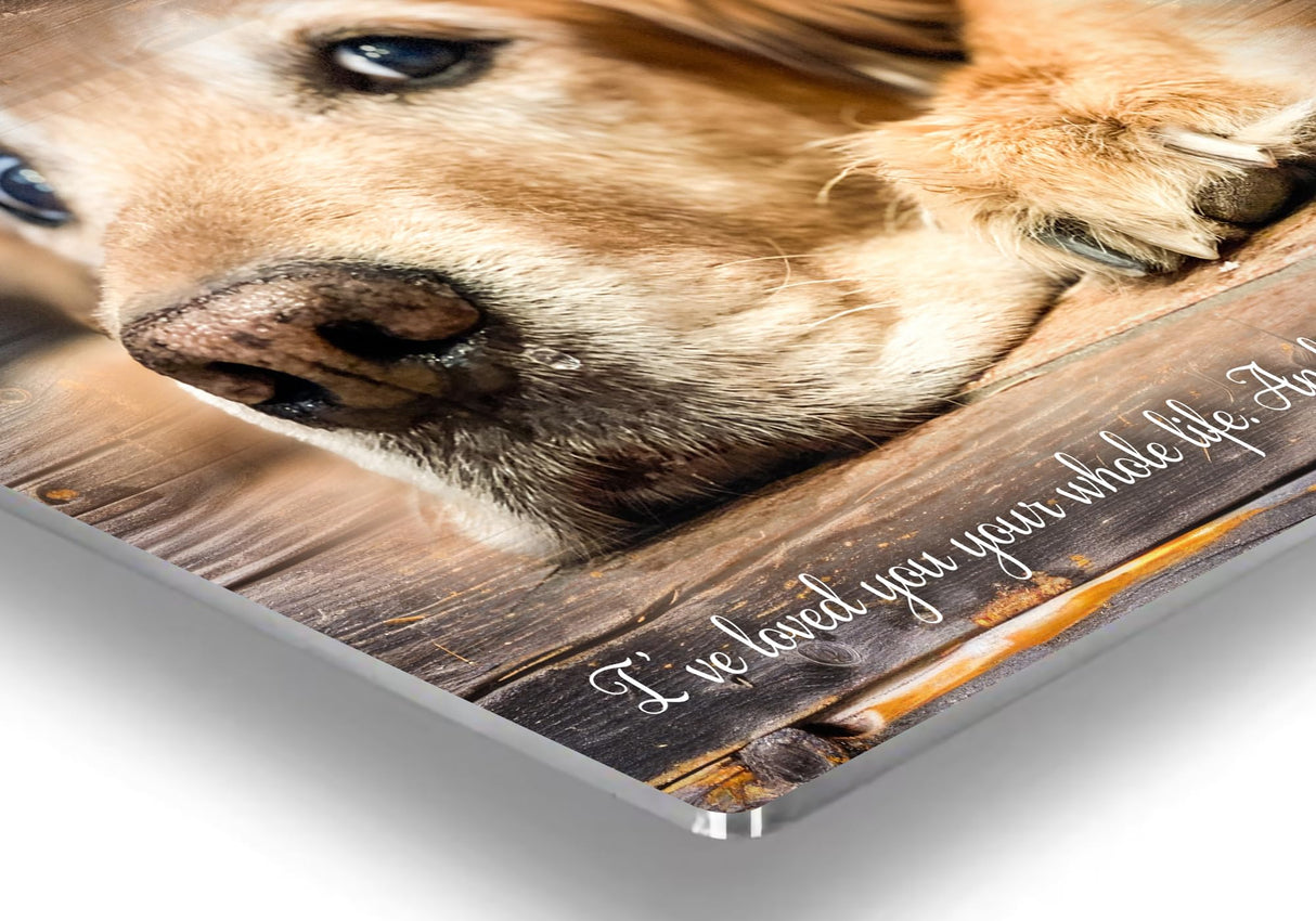 MUNDAZE Custom Pet Portrait Memorial Photo – Personalized Dog or Cat Loss Gift – Glossy Metal Print with Your Pet’s Photo – Sympathy Keepsake – Made and Shipped in USA MUNDAZE