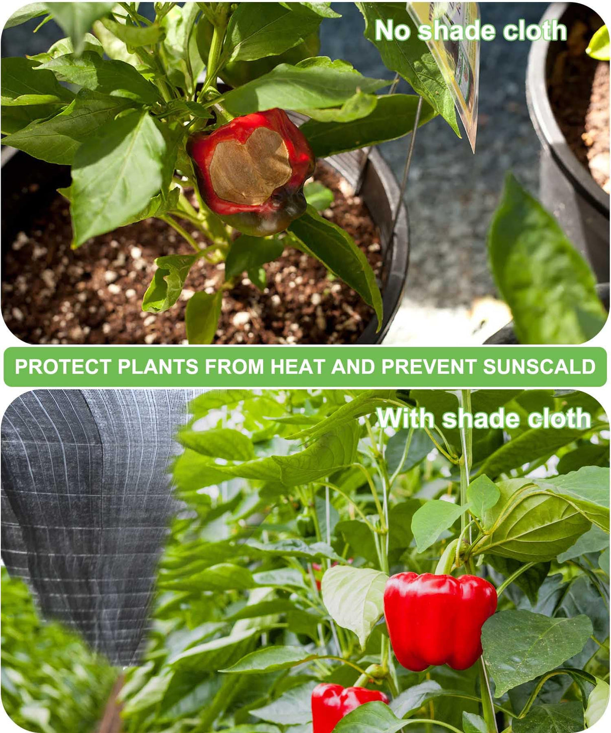 Mklsit Garden Shade Cloth, 70% 20 x 20 FT Resistant Sun Shade Net for Plants Outdoor Mesh Tarp with Reinforced Grommets Shade Cloth for Greenhouse, Tomatoes, Pergola, Patio Sunshade Mklsit