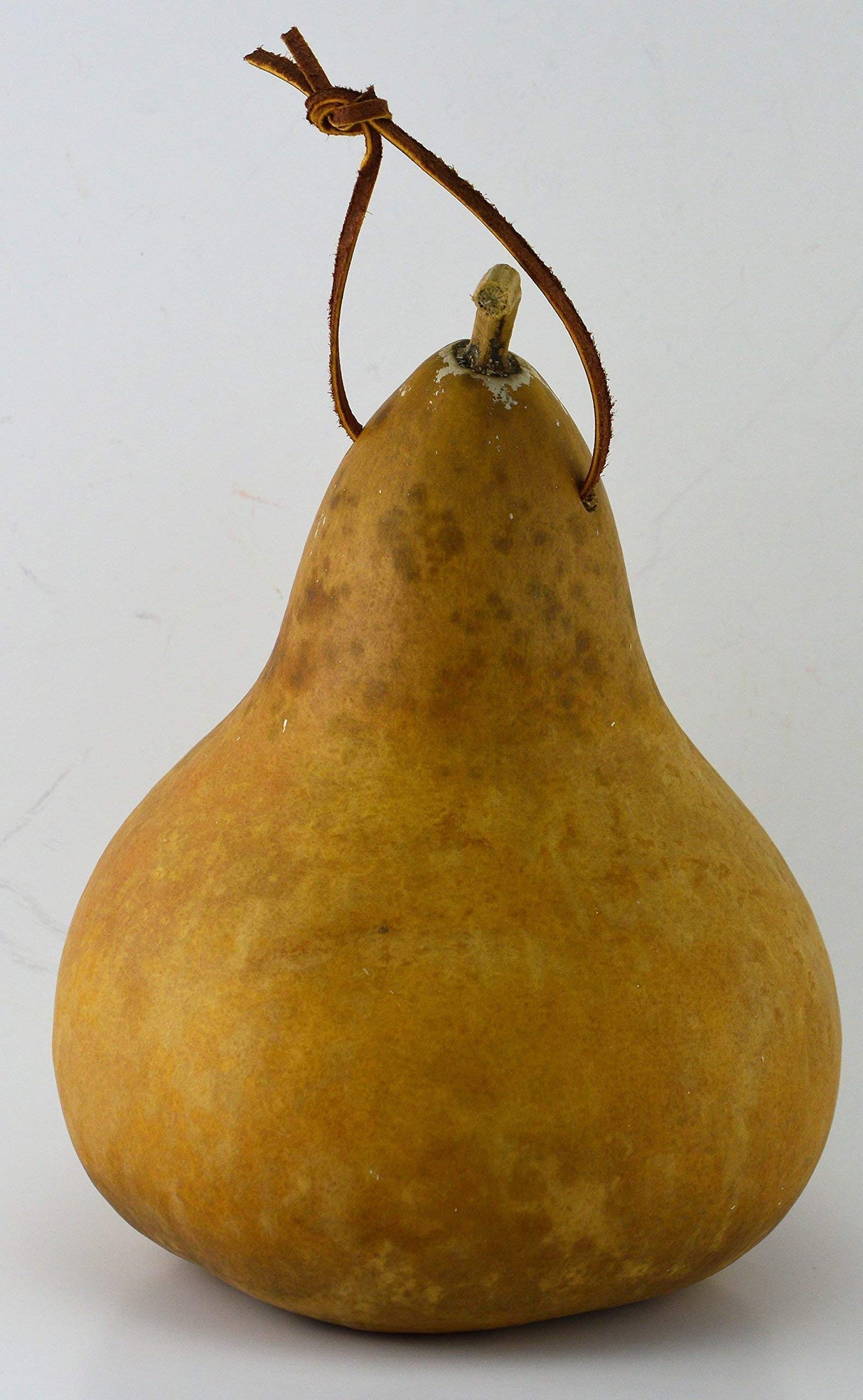 Gourd Birdhouse, Unfinished, Create Your Own Birdhouse Gourdaments