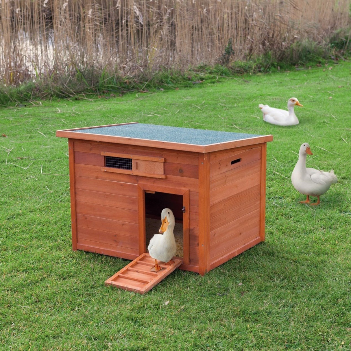 TRIXIE Natura Duck Coop with Ramp, Pull-Out Tub, Hinged Roof, Brown, 36x30x27 TRIXIE
