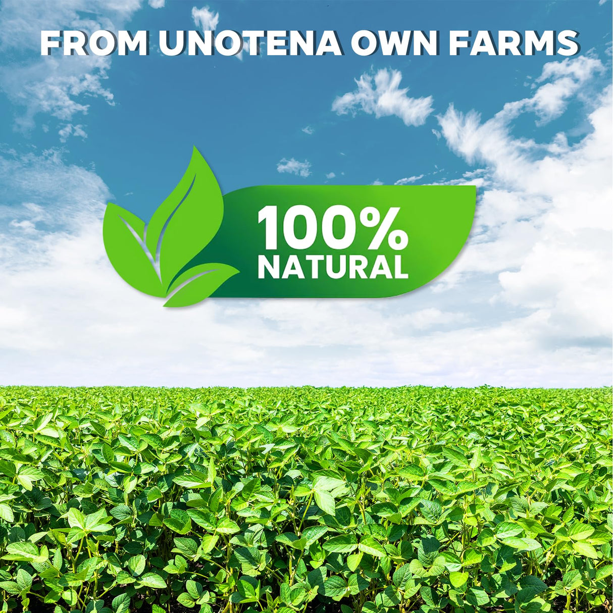 Lumispace 100% Natural Soy Wax Flakes for Candle Making, Eco-Friendly,Farm-Sourced, No Additives, Clean Burning, DIY Candle Supplies, Safe and Pure, 2 LBS LumiSpace