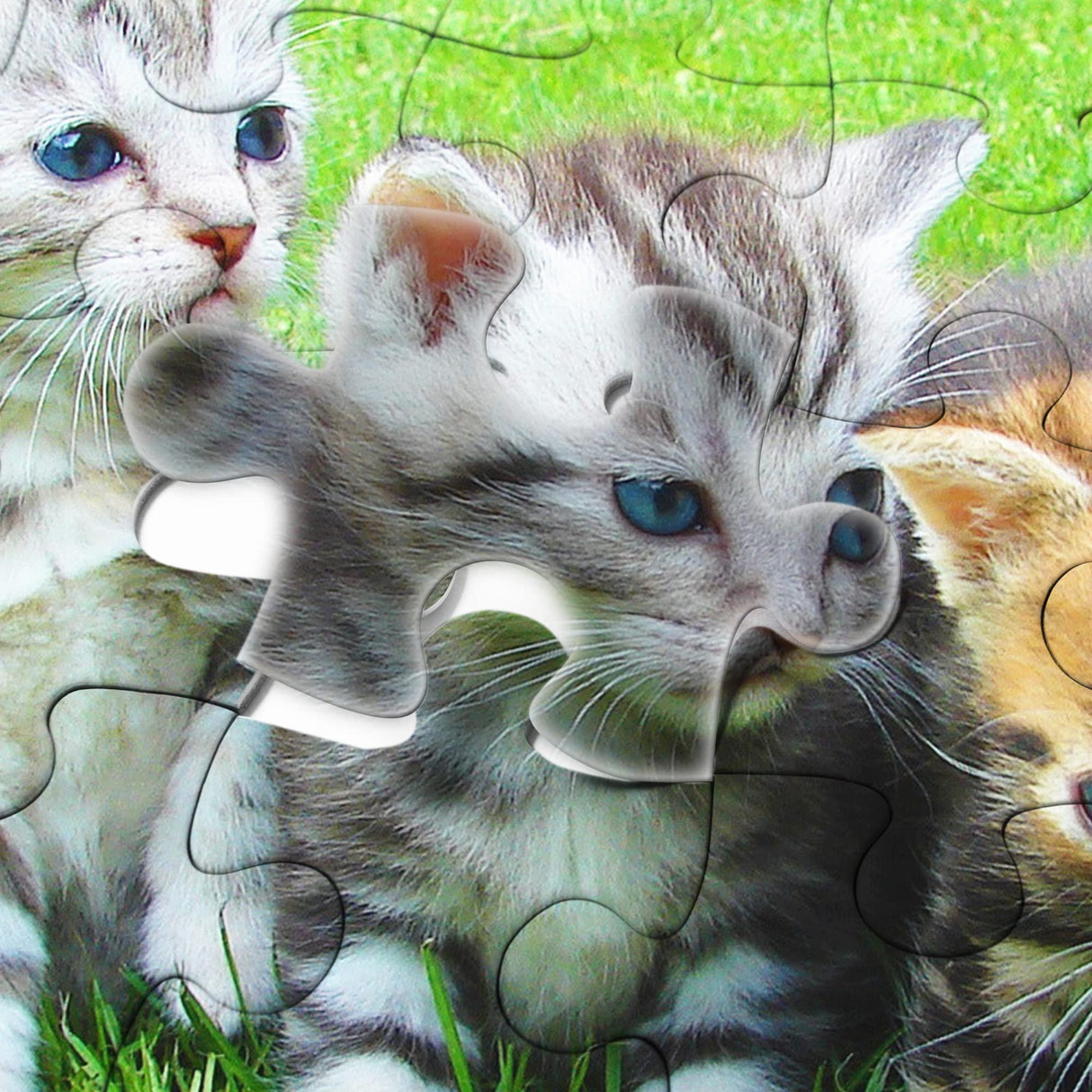 Koala Sublimation Blank Puzzle 120 Pieces of Each Set, 10 Sets Heat Transfer Printing White Puzzle for Customize Unique Puzzle Gift KOALA PAPER