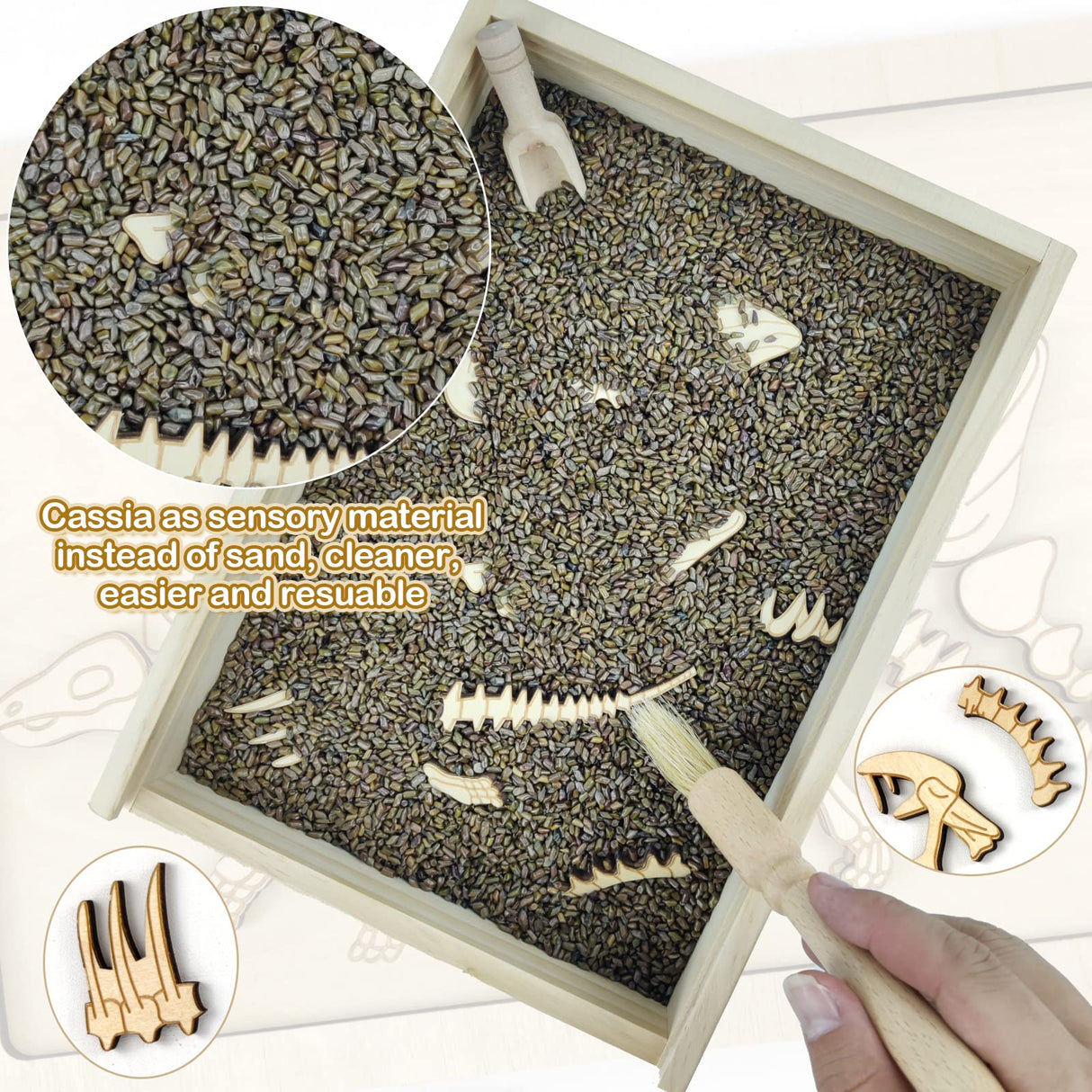 Dinosaur Excavation Archaeology Dig Kit for Kids, Fossil Explore Sensory Bin Toys, Dino Skeletons Bones Puzzle Game, Archaeology Science STEM Toys for Boys and Girls (Stegosaurus) Xylolin