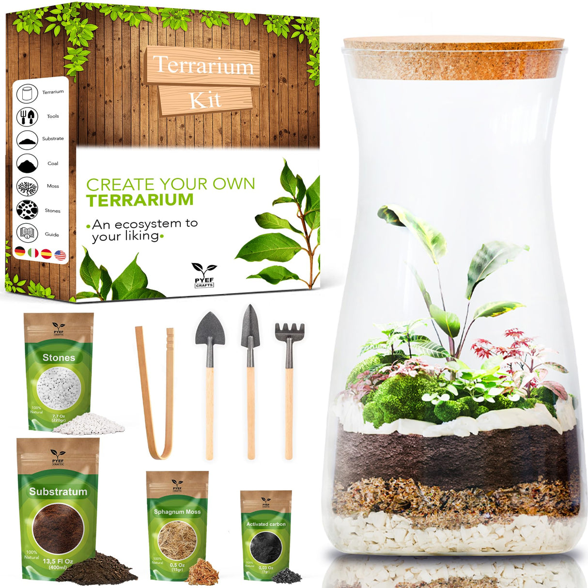PYEF CRAFTS DIY Terrarium Kit for Adults – Build Your Own Self‑Sustaining Closed Ecosystem – 34 fl oz (1‑Liter) Glass Terrarium – Succulents, Air Plants, Fittonia, Fern – Plants Not Included PYEF CRAFTS