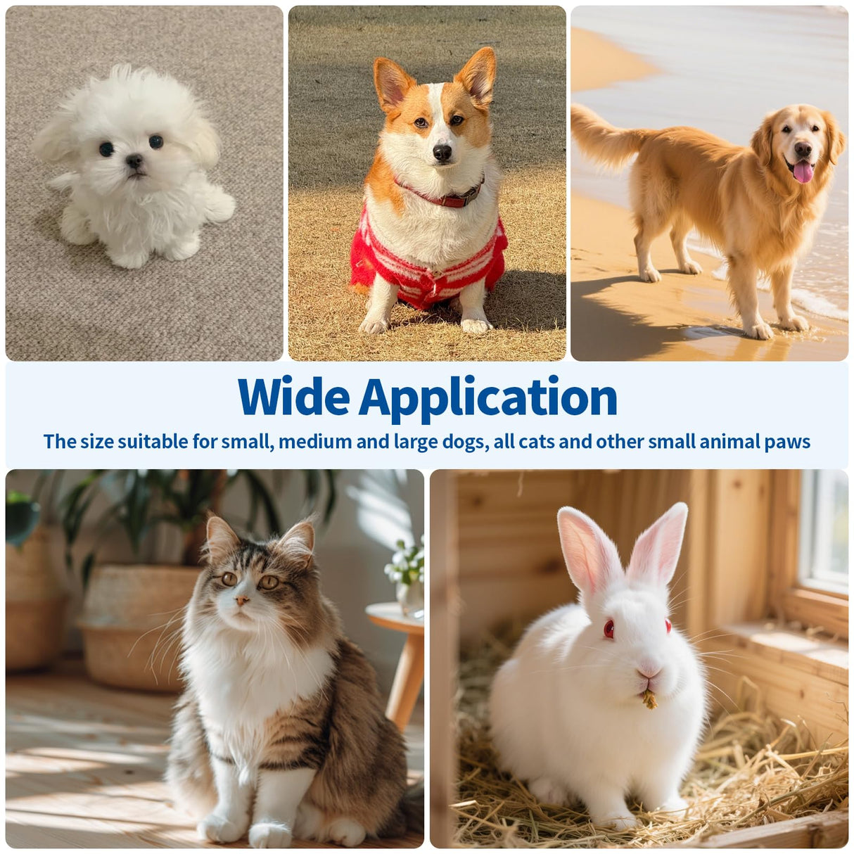 Waltool Pet Memorial Shadow Box with Clay Paw Print Impression Kit, Paw Ornament Loss of Pet Sympathy Gift, Picture Frame Pet Urns for Dogs Cats Ashes Keepsake Waltool