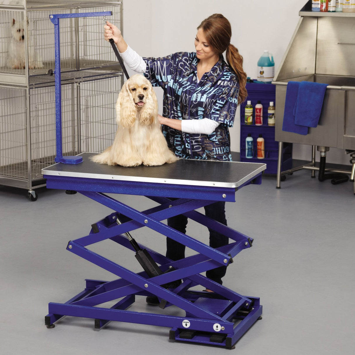 Master Equipment Master Equip Xtend Electric Grooming Table, Blue Master Equipment