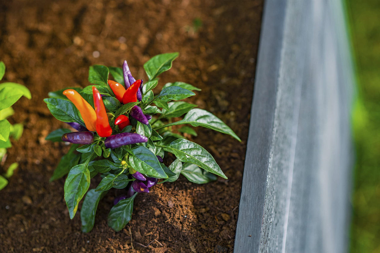 Vita Urbana 3 Foot x 5 Foot Embossed Vinyl Keyhole Garden with Composting Basket, Slate Grey, Gray, PVC, BPA and Pthalate Free, Woodgrain, VT17602 Vita