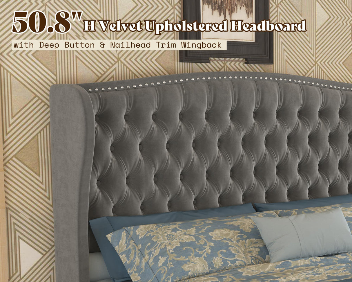 AMERLIFE King Size Adjustable Bed Frame with 51" H Velvet Upholstered and Deep Button Tufted Headboard, Electric Bed with Dual Motor/Nailhead Trim Wingback, No Box Spring Needed, Grey AMERLIFE
