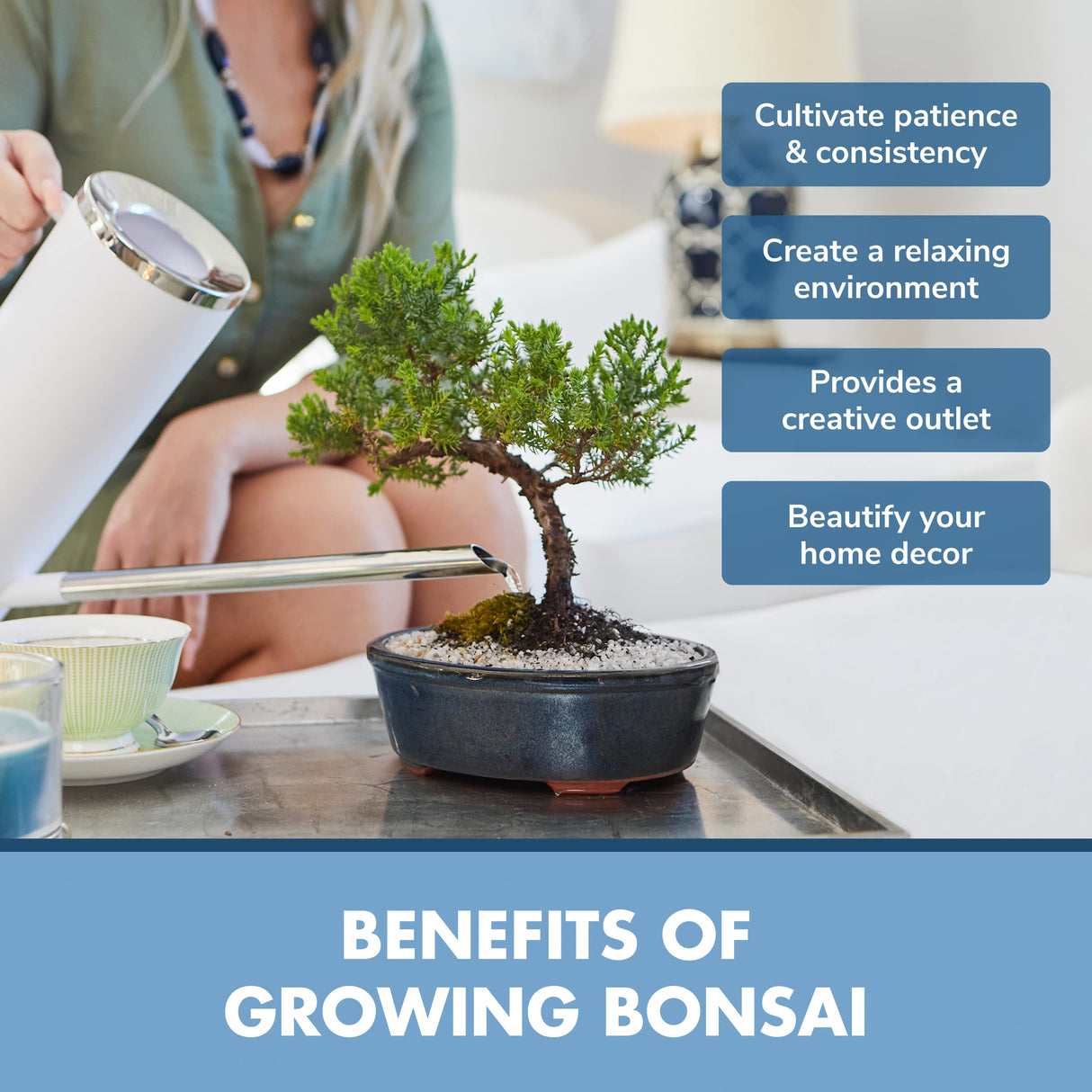 Bonsai Tree Kit - Grow 3 Mini Bonsai Trees, Indoor Plant Growing Kit - Bonsai Starter Kit with Bonsai Seeds, Soil, Planters & Shears, Gardening Gifts for Women, Fathers Day Gardening Gifts · GARDEN REPUBLIC ·