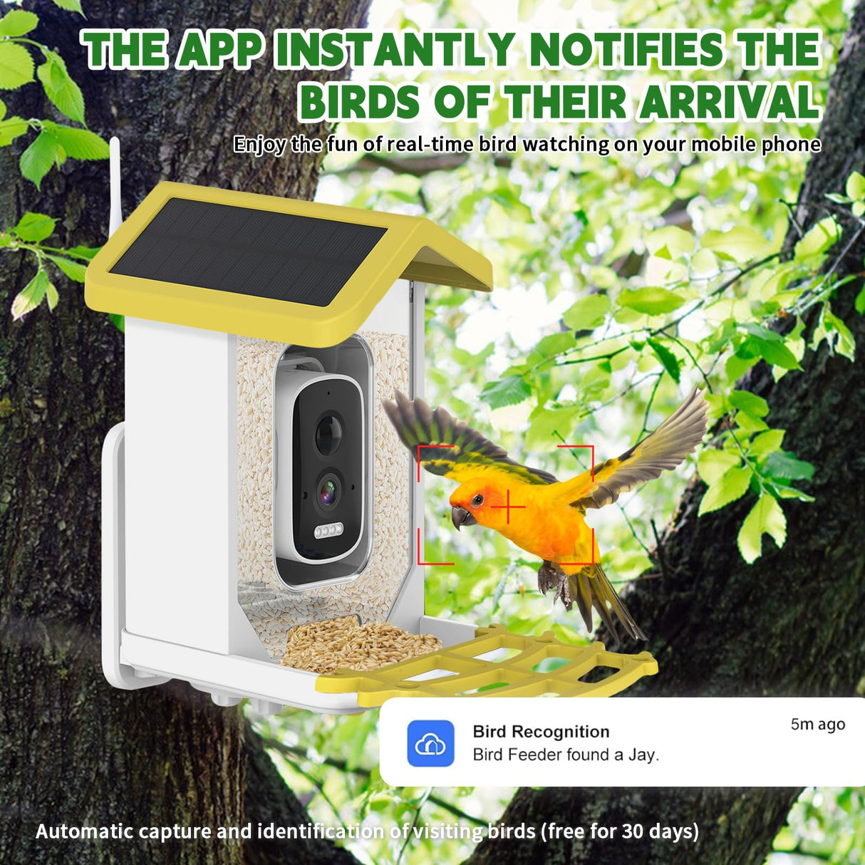 Smart Bird Feeder with Camera, HD Camera Bird Feeder, Solar Powered, Auto Capture Bird Videos & Detection, Solar Powered Wireless Birdhouse Camera for Outdoors, Perfect for Bird Lovers HYNXM