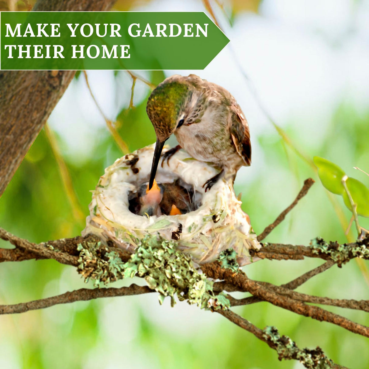 Hummingbird Nesters - Bird Nesting Material Holder for Wild Birds - Humming Bird House Materials Gifts for Bird Watching Nature Lovers - Refillable Outdoor Bird Nesting Station to Build a Nest slivche