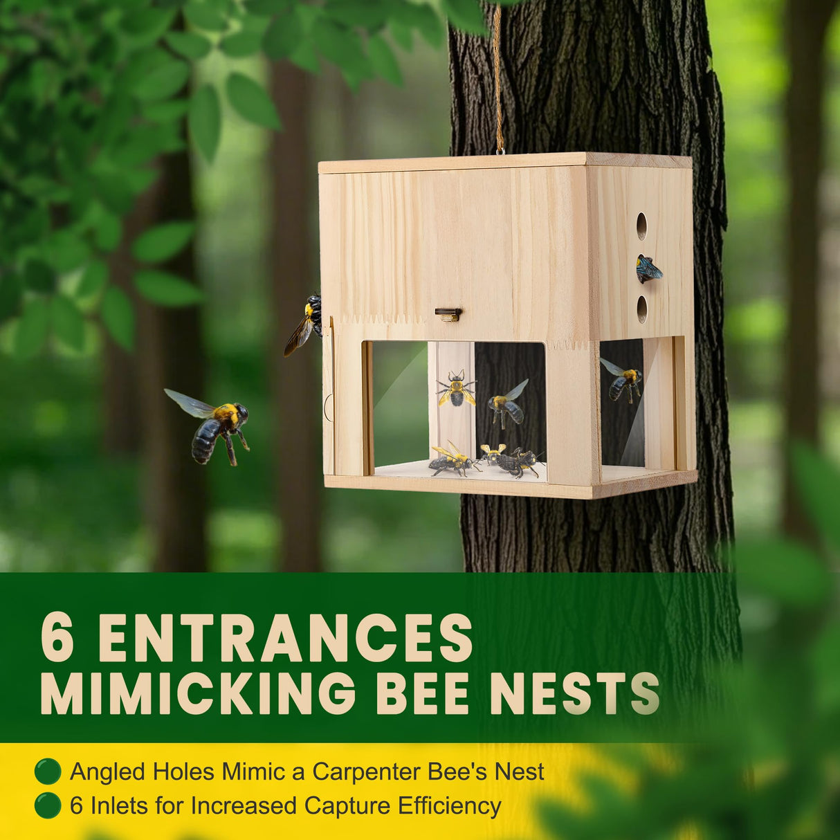 Qualirey 1 Pack Carpenter Bee Trap for Outside, 2 in 1 Catch & Release Wood Bee Traps Outdoor Hanging, Wood Boring High Capacity External Bees Vault, Defender Trap for Bees Catching Qualirey